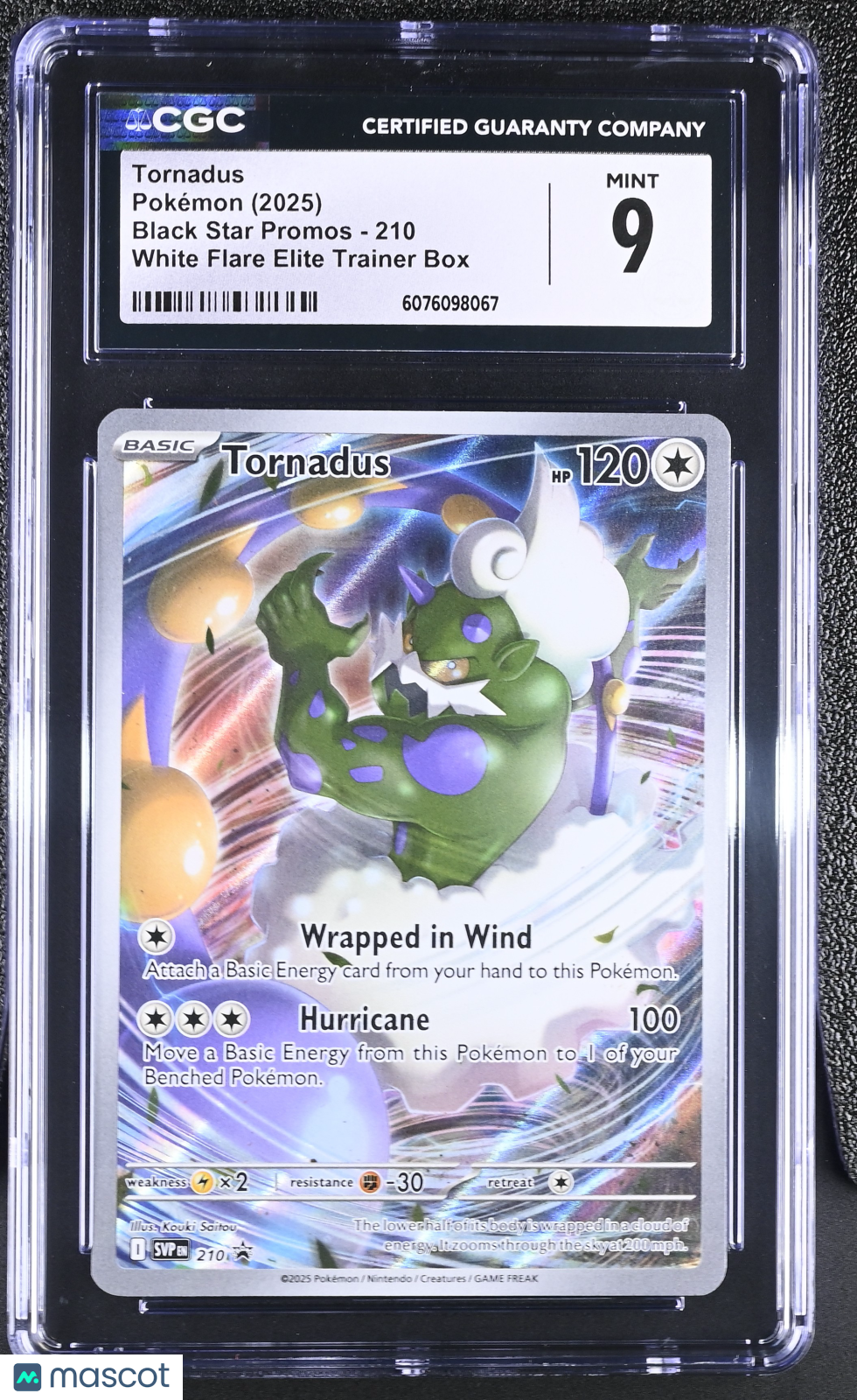 2025 Pokemon Black Star Promos Tornadus White Flare Elite Trainer Box CGC 9 #210