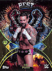 2025 Topps WWE Universe CM Punk Namesakes Gold Stones /75