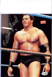 Butch Reed WWE Signed Auto Autograph JSA Authentic 8x10 Photo