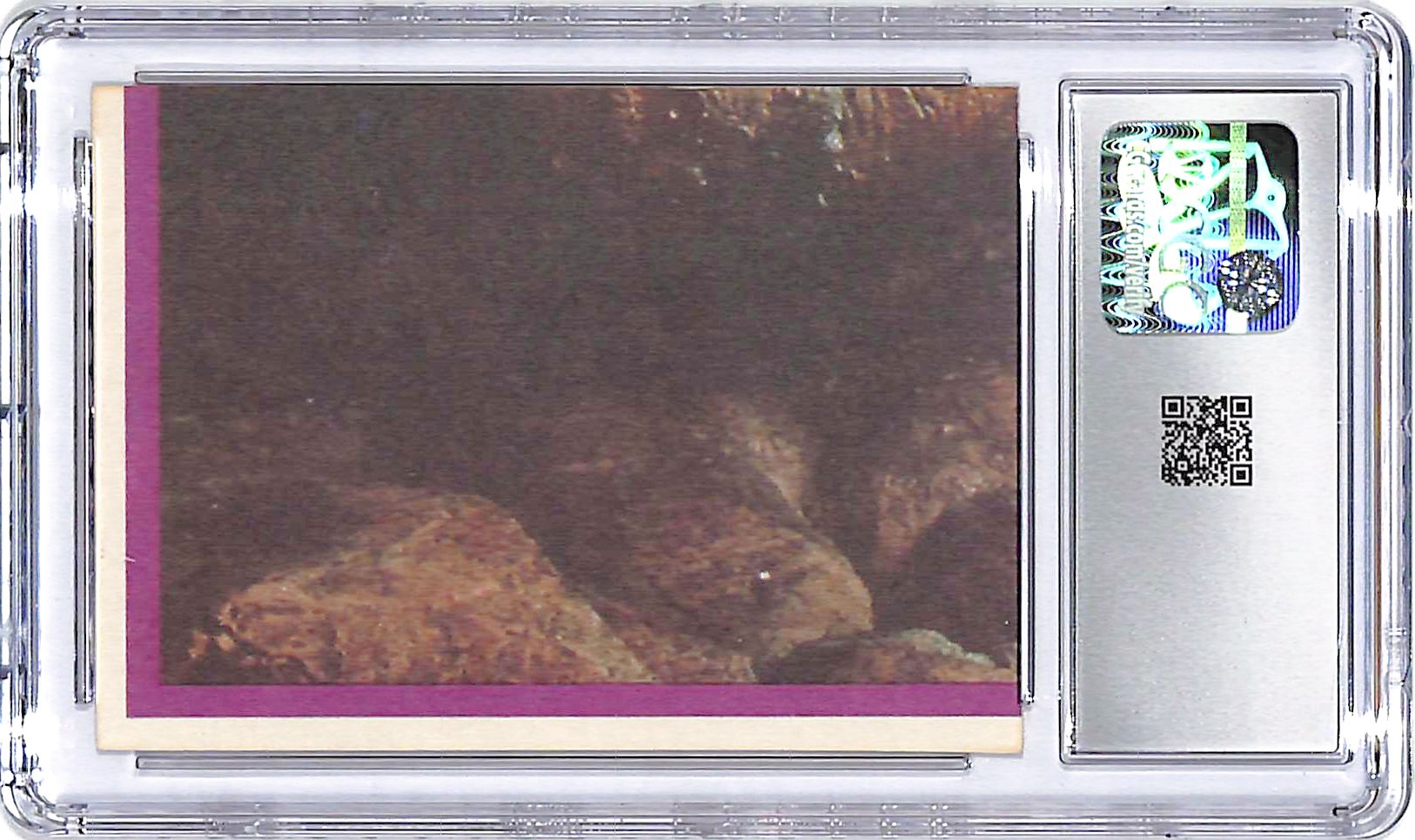 1983 Topps Star Wars Return of the Jedi Series 2 Chewbacca Sticker #42 CGC 8